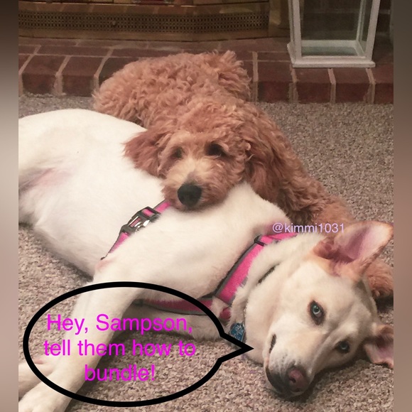 Shopping? Read here first! DO NOT BUY THIS LISTING! - Picture 10 of 16